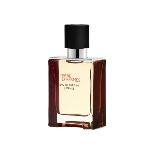 Hermès Terre D'Hermès EDP Intense 100ml