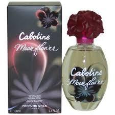 Parfums Grey